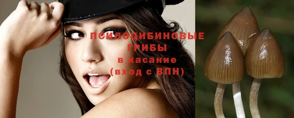 шишки Каменск-Шахтинский