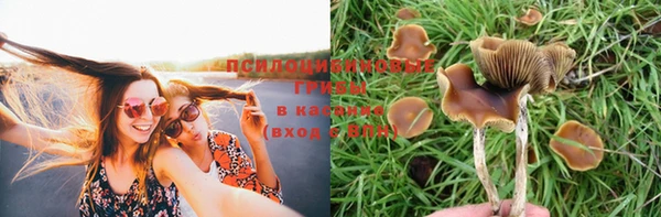 шишки Каменск-Шахтинский