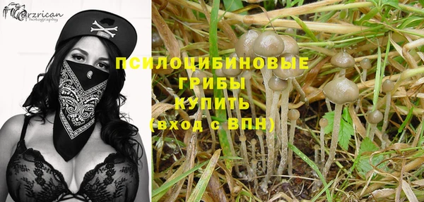 Альфа ПВП Каменногорск